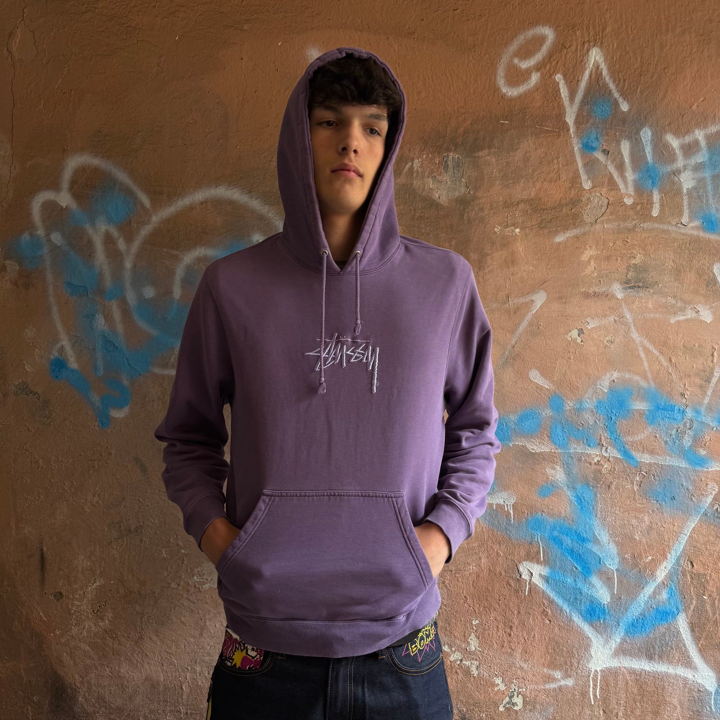 Hoodie Stussy mauve brodé - M