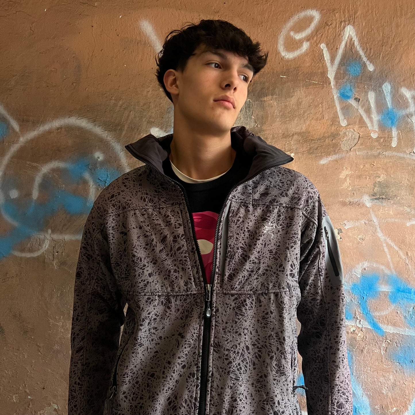 veste arc'teryx Vintage grise - L