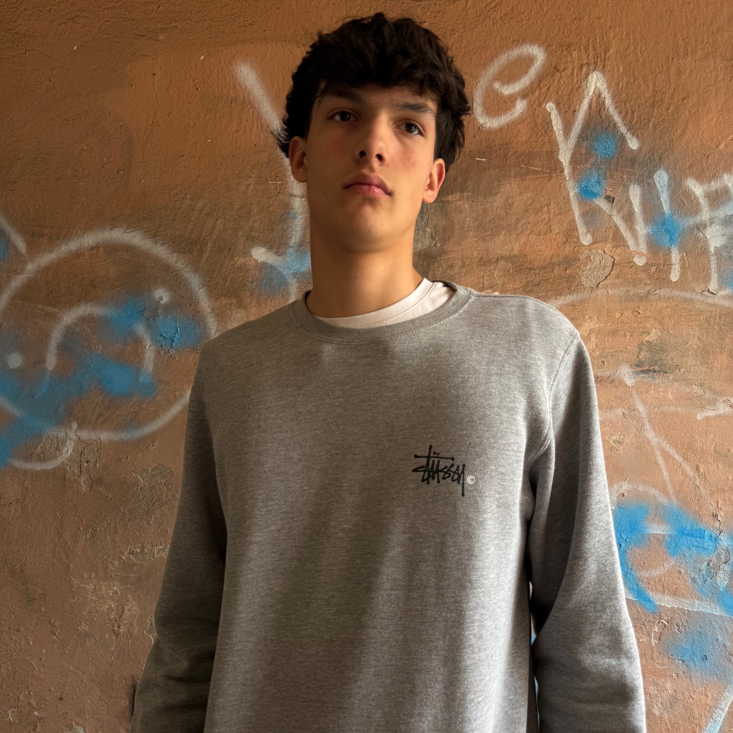 Basic sweat Stussy Gris - L
