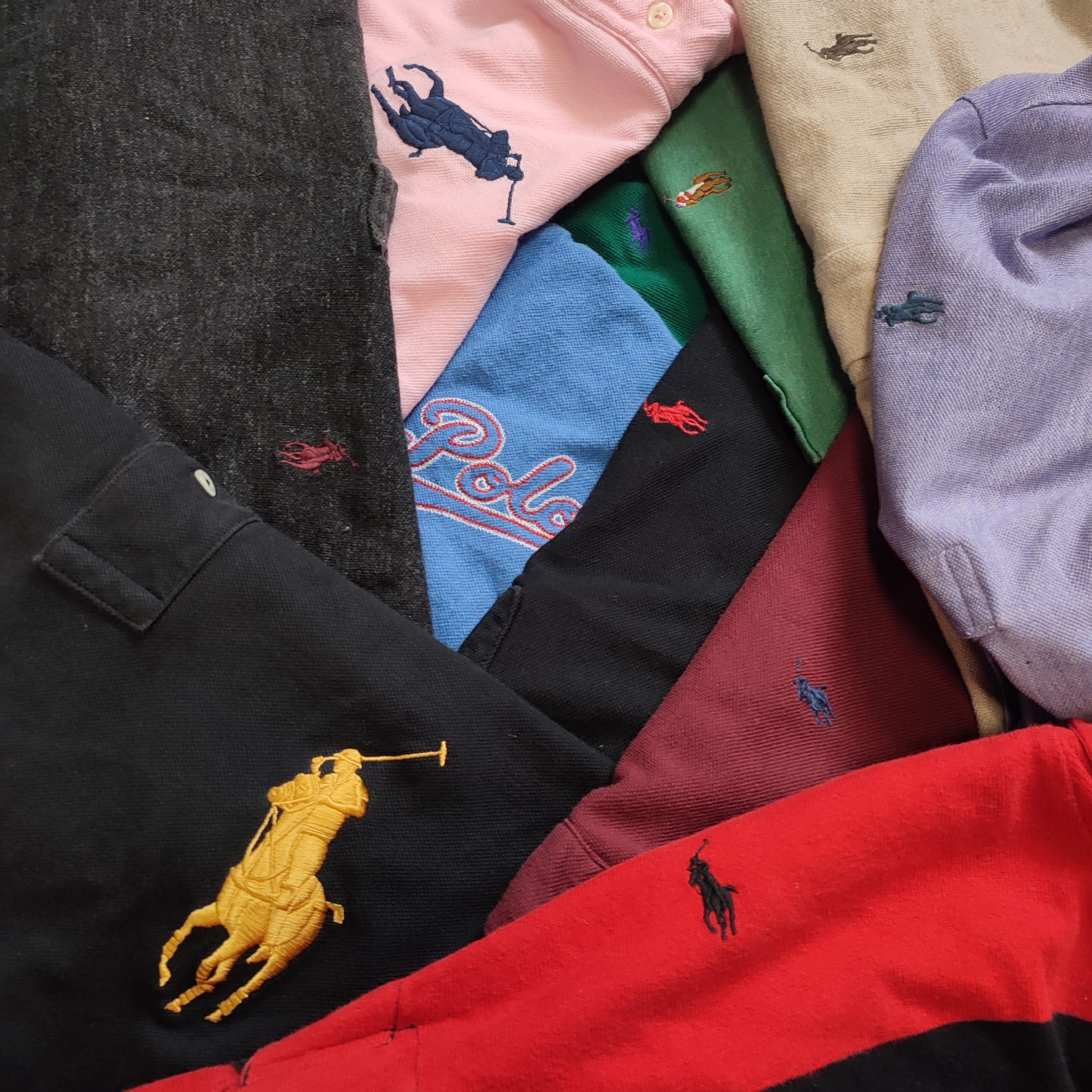 Polo Image