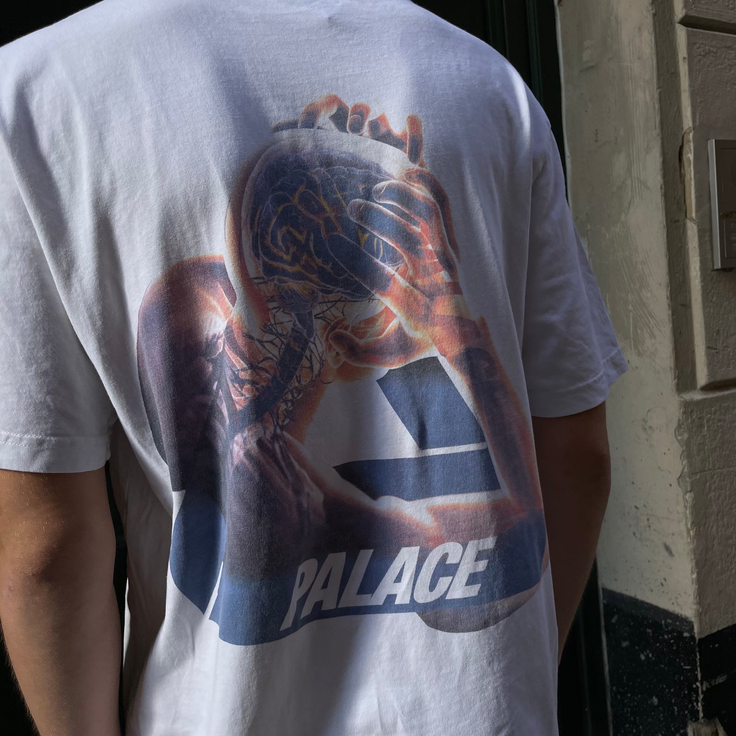 Palace Tri-Gaine T-shirt - L