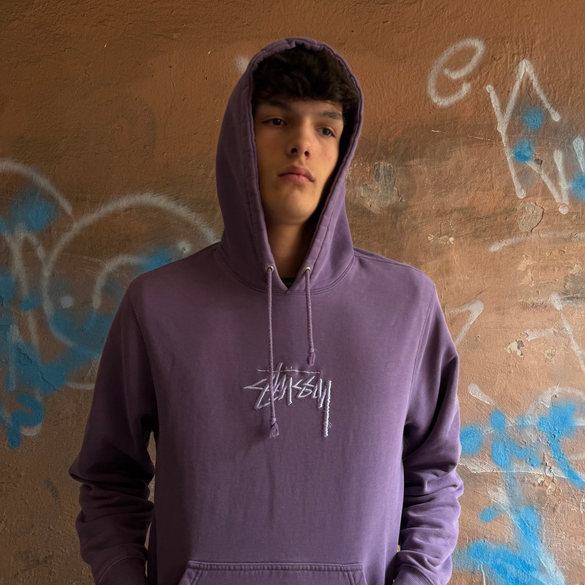 Hoodie Stussy mauve brodé - M