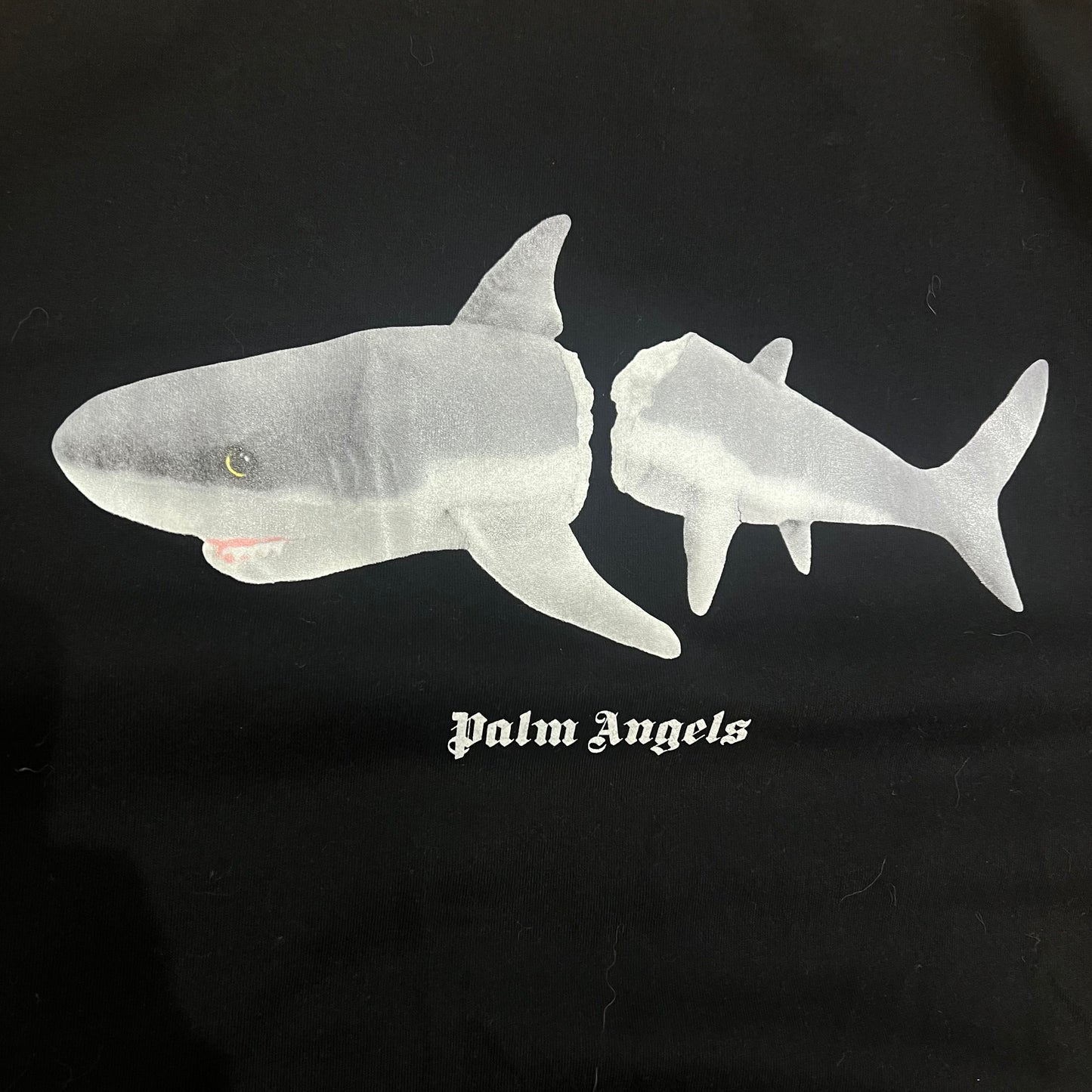 T-Shirt Palm Angels Shark Noir - L